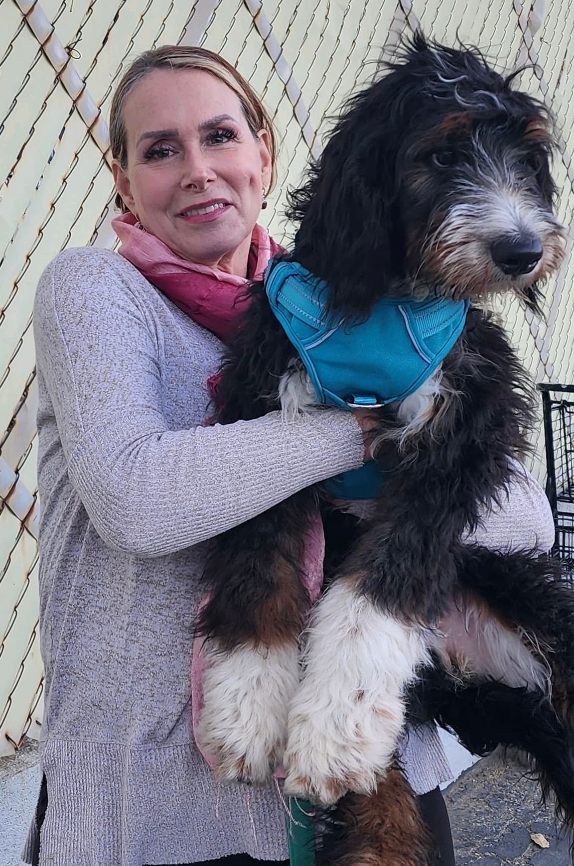 Constance Rock holding a Bernadoodle